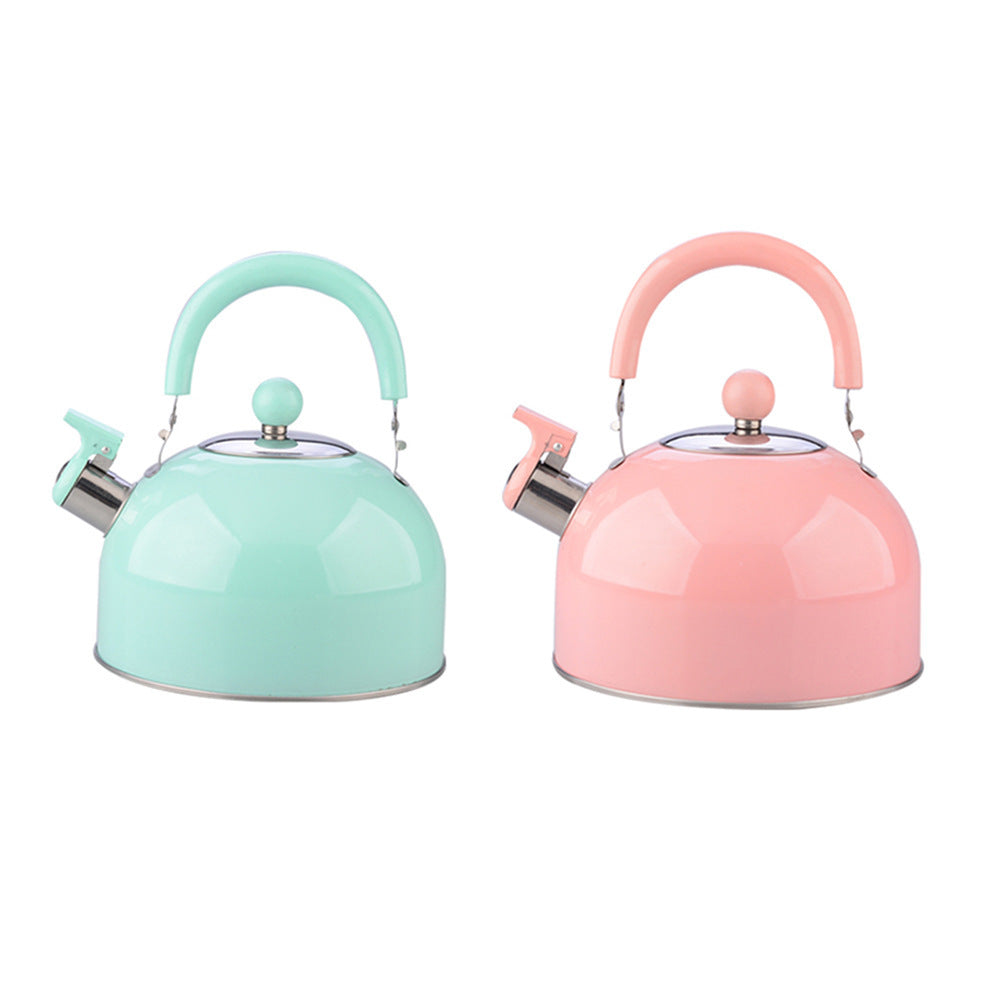 Thickened Flat Bottom Stainless Steel Electric Kettle